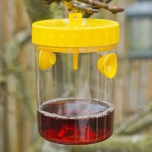 Zawieszana pułapka na osy