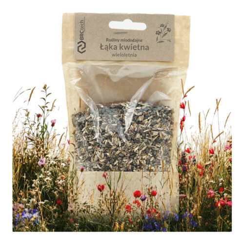 Nasiona - łąka kwietna wieloletnia 100g