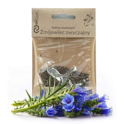 Nasiona - Żmijowiec Zwyczajny 10g